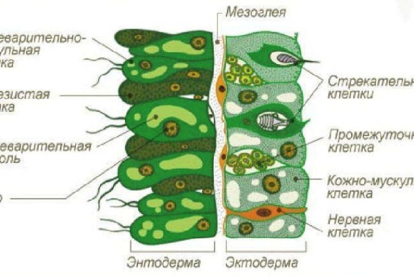 Кракен вход магазин kraken17ate pro